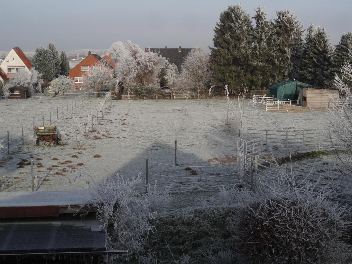 Ferienwohnung Gruenewaldstrasse 22 Bünde Kültér fotó
